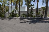 the palm trees are near the parking lot of this house, along with another structure