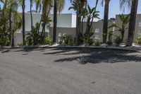 the palm trees are near the parking lot of this house, along with another structure