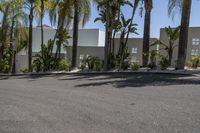 the palm trees are near the parking lot of this house, along with another structure