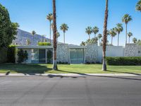 the modern house is surrounded by palm trees in desert style landscaping, and has a large window