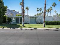 the modern house is surrounded by palm trees in desert style landscaping, and has a large window