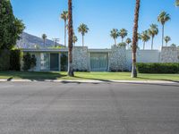 the modern house is surrounded by palm trees in desert style landscaping, and has a large window