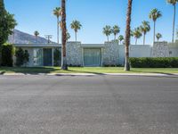 the modern house is surrounded by palm trees in desert style landscaping, and has a large window