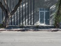 a black fire hydrant in front of a building with plants on the sidewalk in front of it