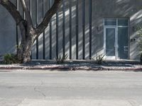 a black fire hydrant in front of a building with plants on the sidewalk in front of it