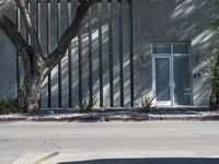 a black fire hydrant in front of a building with plants on the sidewalk in front of it