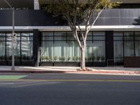 Modern Los Angeles Architecture and Sunny Roads