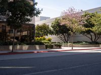 Modern Los Angeles: Urban Road under Clear Skies