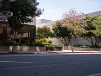 Modern Los Angeles: Urban Road under Clear Skies