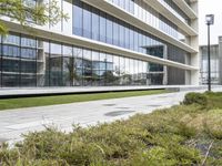 a sidewalk that is surrounded by trees next to an office building with a glass facade