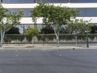 a street with three trees in the corner in front of a building on which is an empty sign