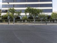 a street with three trees in the corner in front of a building on which is an empty sign