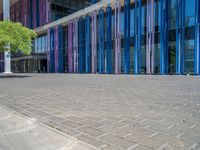 a building with pink glass and purple striped exterior is shown with the brick path on the left