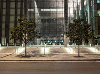 there are trees in front of the building at night, and some buildings in the background