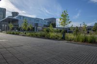 a city street surrounded by grass and tall buildings at the end of a street there is a paved pathway in front of the building