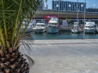 Modern Pier in Barcelona, Spain: A Stunning Coastal Landscape