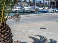 Modern Pier in Barcelona, Spain: A Stunning Coastal Landscape