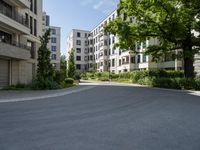 a street with parking meters and trees in front of a large building with apartments on each side