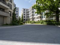 a street with parking meters and trees in front of a large building with apartments on each side