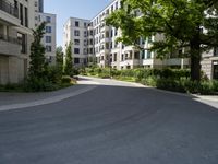 a street with parking meters and trees in front of a large building with apartments on each side