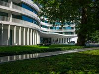 modern residential building with curved curved roof on corner of grassy area by trees and bushes