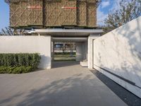 a building is surrounded by landscaping and plants on the concrete pathway of a driveway, next to a tree