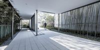 an empty walkway leads to a building with an indoor garden inside and outside on the wall