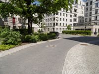 a cobblestone path between two residential buildings with trees and hedges in the foreground