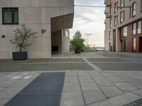 an empty walkway and small planters along a street between buildings and trees in the background