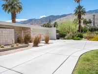 a driveway leading into a home with palm trees in the background and mountains beyond the driveway