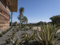 a home with plants on a gravel ground next to a building and mountains in the background