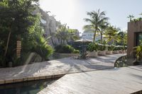 the patio area features a pool and wooden benches and umbrellas with palm trees around it