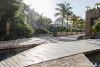 the patio area features a pool and wooden benches and umbrellas with palm trees around it