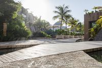 the patio area features a pool and wooden benches and umbrellas with palm trees around it