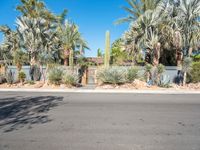 Modern Residential Road in Palm Springs with Clear Sky