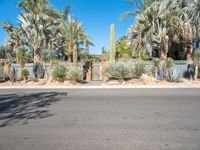 Modern Residential Road in Palm Springs with Clear Sky