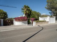 an empty street with white fence and palm trees around the entrance area of a home