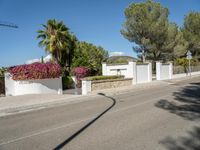 an empty street with white fence and palm trees around the entrance area of a home