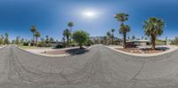 a street that is being viewed through a fish eye lens, with several palm trees in the background