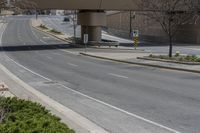 an empty street under a bridge in the cityscape with shrubs and green bushes