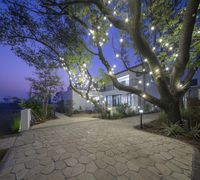 outdoor lighting that looks like trees on the side of the house with lights on each tree