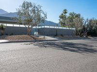 Modern Residential Villa in Palm Springs, California 003