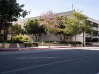 Modern Roads in Los Angeles: A California Urban Landscape