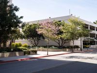 Modern Roads in Los Angeles: A California Urban Landscape