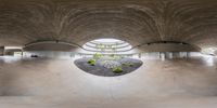 a skate park with a little tree growing from the concrete slabs and large circular ceiling