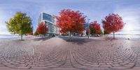 a view of a very tall building from the ground in a fish eye lens by some small trees and a street