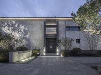 the front door of a modern style home at night time with light on and trees behind