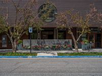 street corner with tree on the corner of the corner and a building behind it that is surrounded by multiple windows and a perforated brown lattice