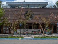 street corner with tree on the corner of the corner and a building behind it that is surrounded by multiple windows and a perforated brown lattice