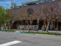 street corner with tree on the corner of the corner and a building behind it that is surrounded by multiple windows and a perforated brown lattice